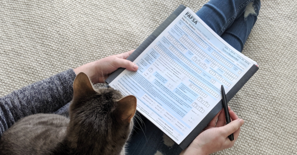 doing FAFSA application with a cat on a person lap