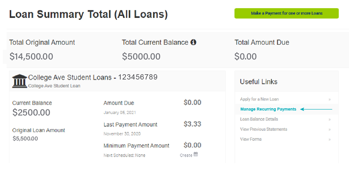 Snapshot of Loan Summary Screen